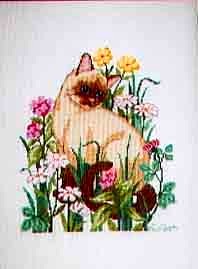 Cat Amongst The Flowers